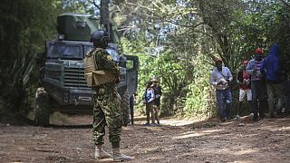 Kenyan police officer killed in suspected gang attack in Haiti