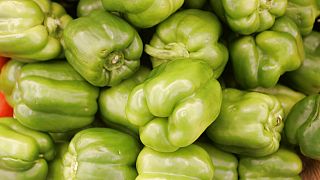 Young Senegalese women market agribusiness on YouTube