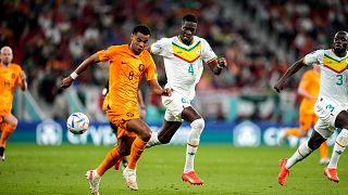 Dutch striker Cody Gakpo poised to join Liverpool