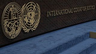 Gaza war: Ahead of ICJ hearing, South Africa "determined to see genocide end"